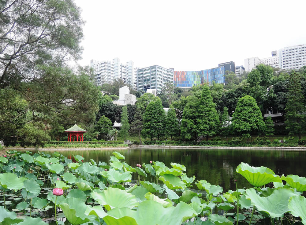 香港中文大学及香港中文大学文物馆图片2