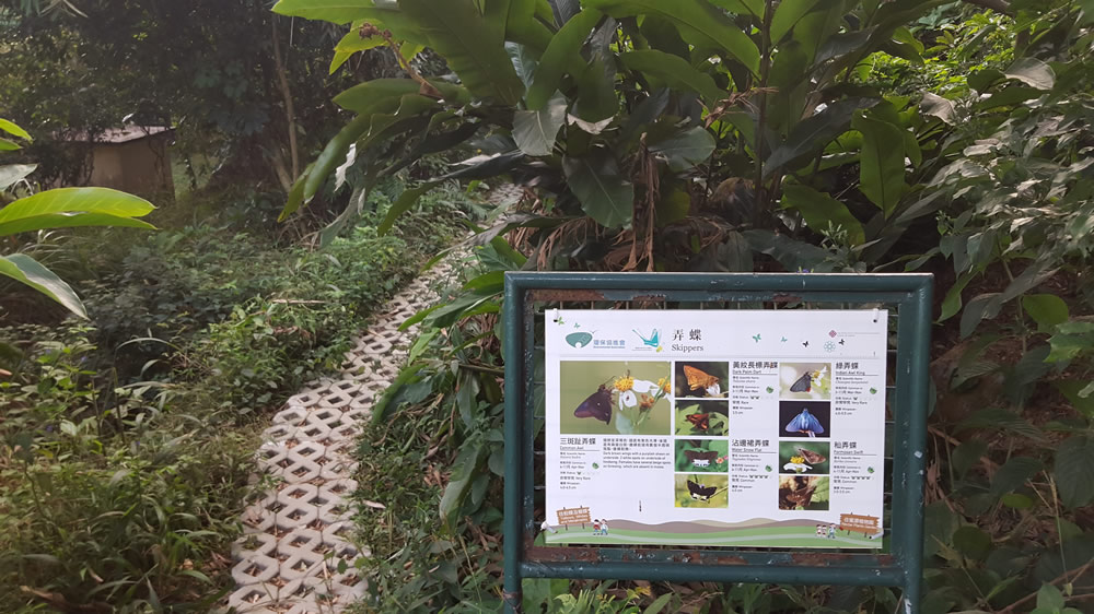 Fung Yuen Butterfly Reserve photo1