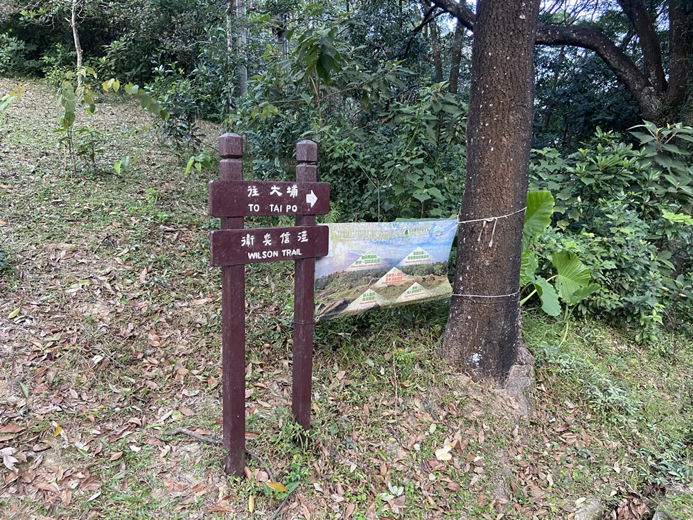 Wilson Trail (Tai Po sections) photo3