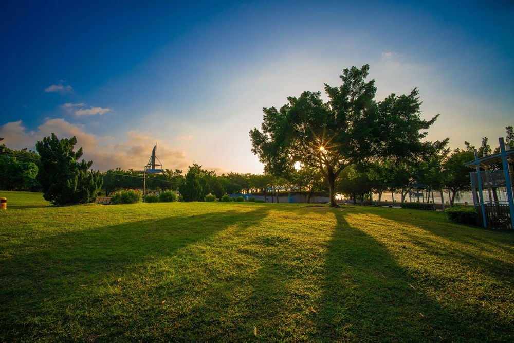 Tai Po Waterfront Park photo3