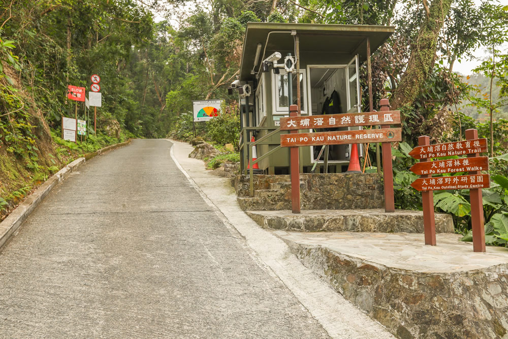 Tai Po Kau Nature Reserve photo1