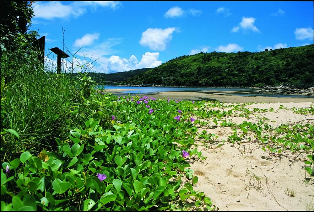 Hoi Ha Wan Marine Park photo1