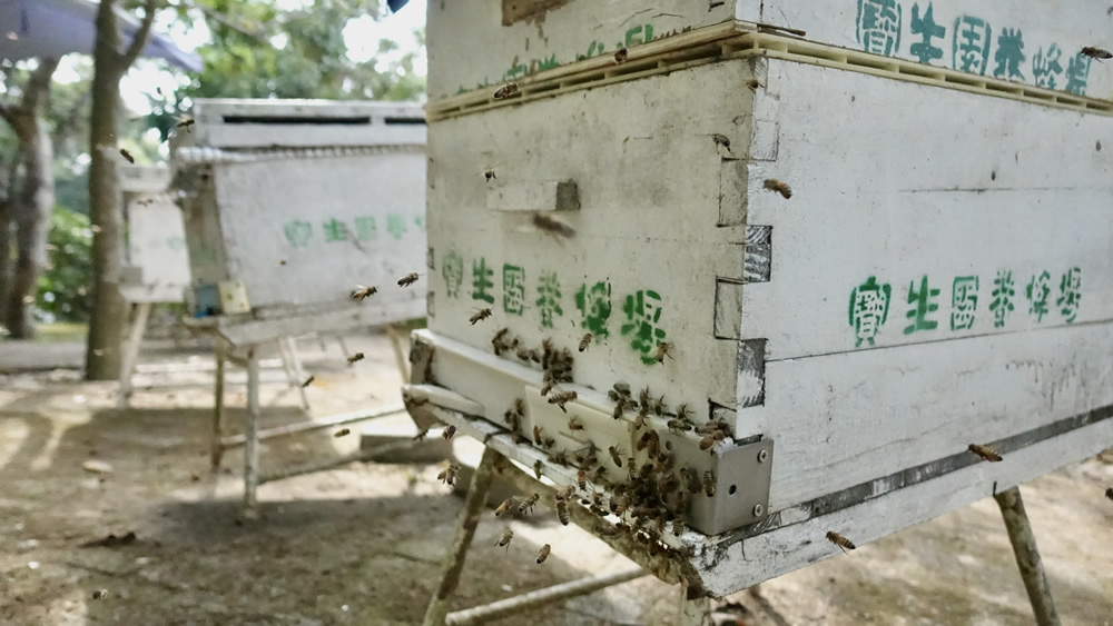 寶生園養蜂場圖片1