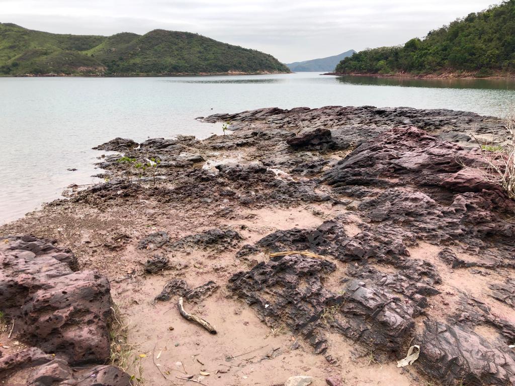 Yan Chau Tong Marine Park photo3