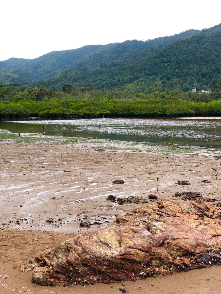 Yan Chau Tong Marine Park photo4