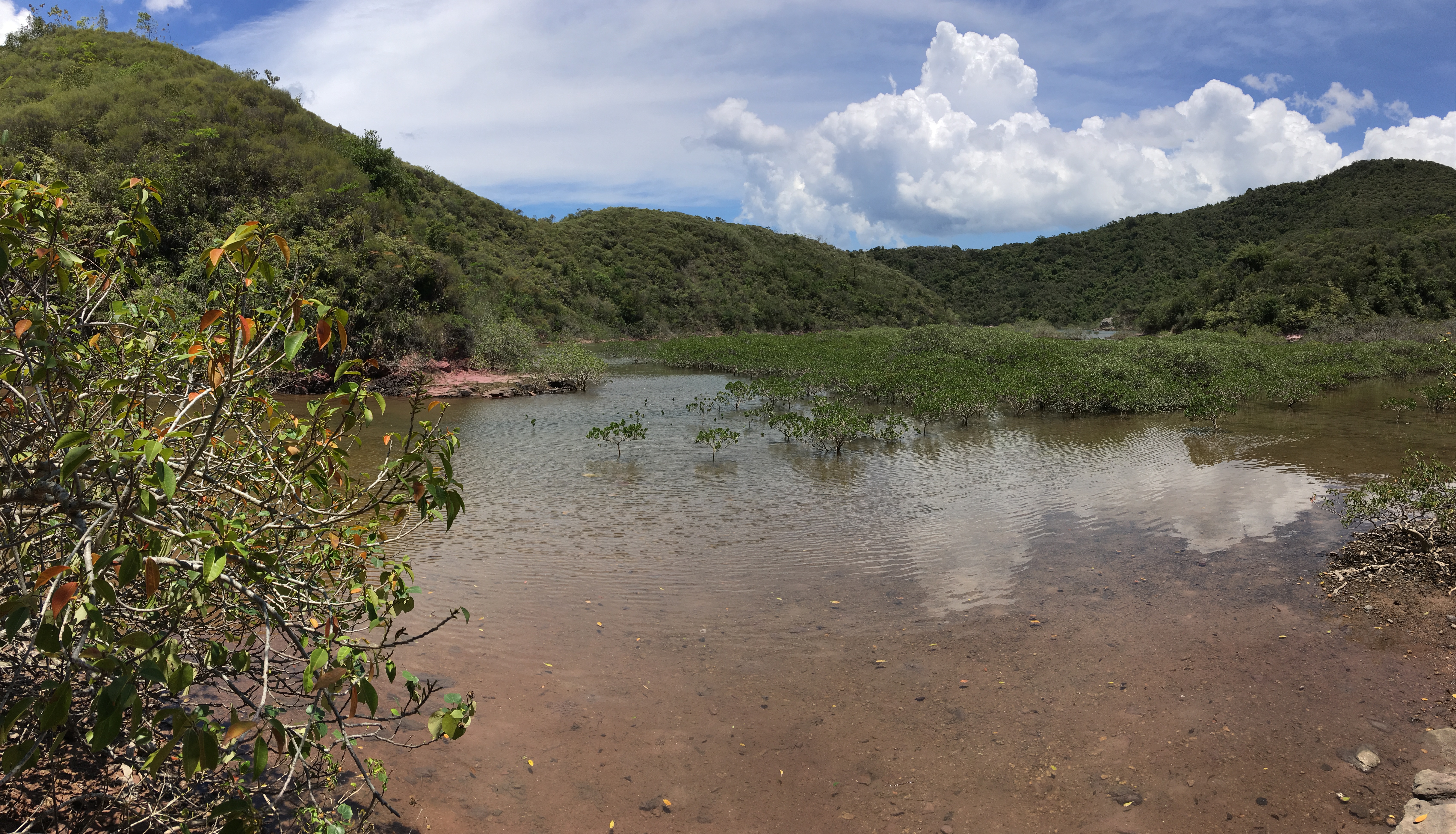 印洲塘海岸公園圖片5