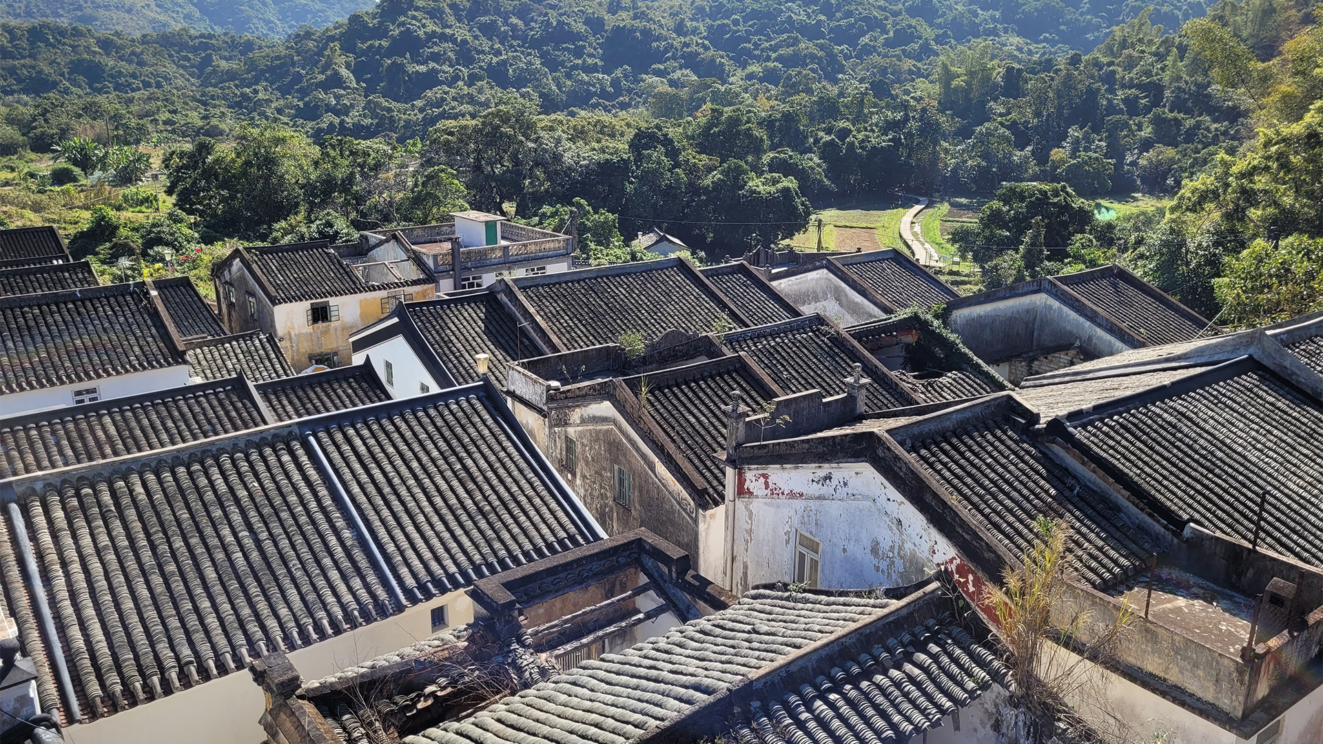 Lai Chi Wo Village photo4