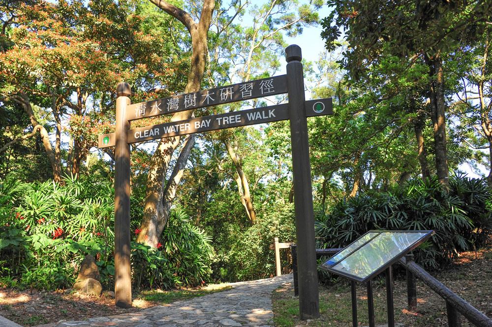 清水灣郊野公園圖片4