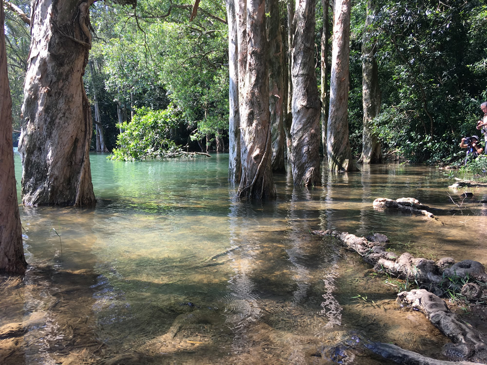 Shing Mun Country Park photo11