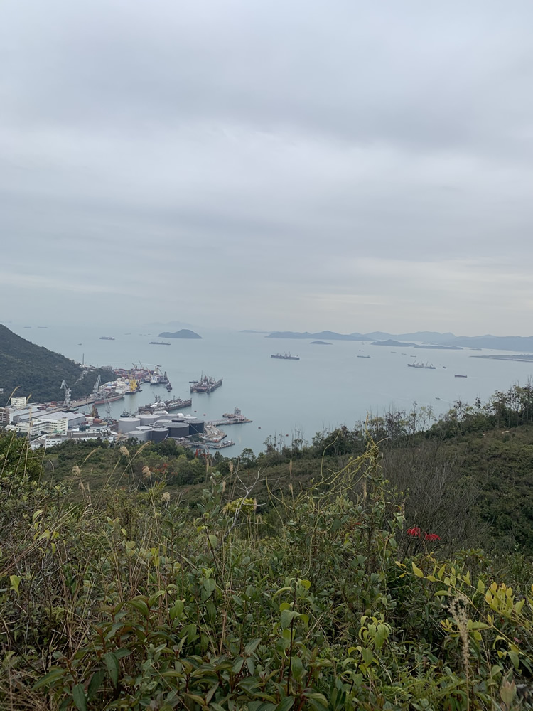 Tsing Yi Nature Trails – Kwai Tsing Celebration of Reunification Health Trail Section photo3