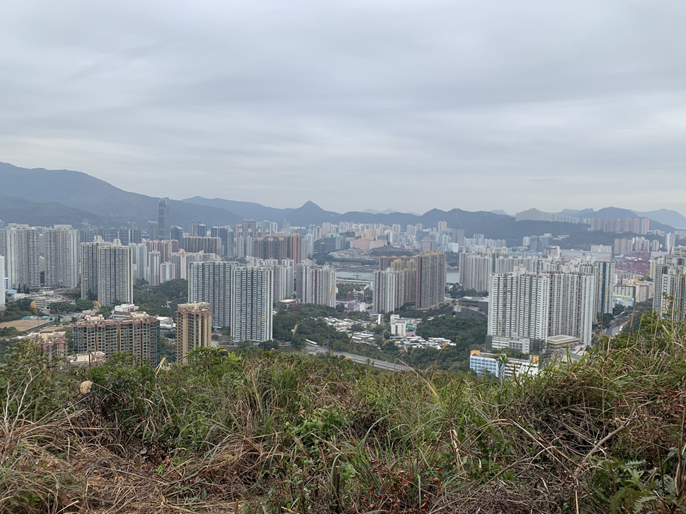 Tsing Yi Nature Trails – Kwai Tsing Celebration of Reunification Health Trail Section photo4