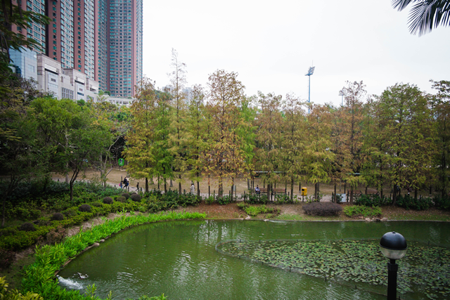 Tsing Yi Park photo1