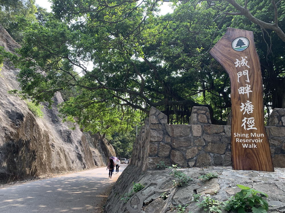 Shing Mun Country Park photo3