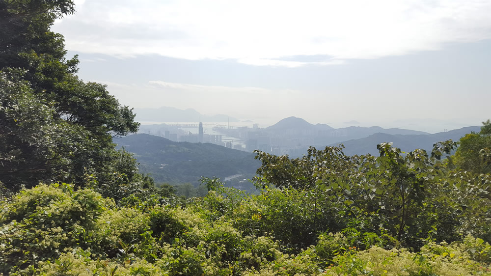 大帽山郊野公園圖片1