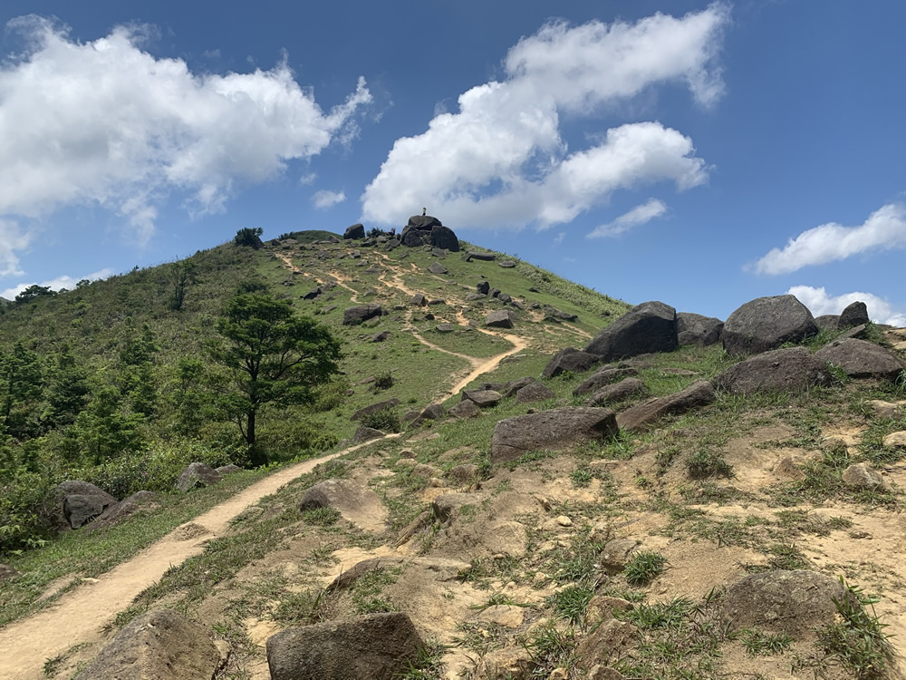 大帽山郊野公園圖片2