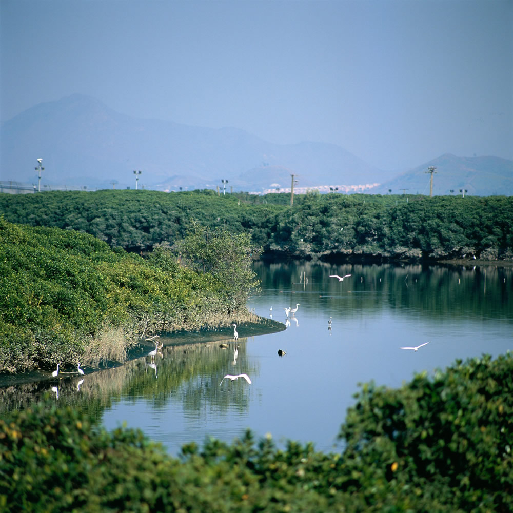 香港湿地公园图片2