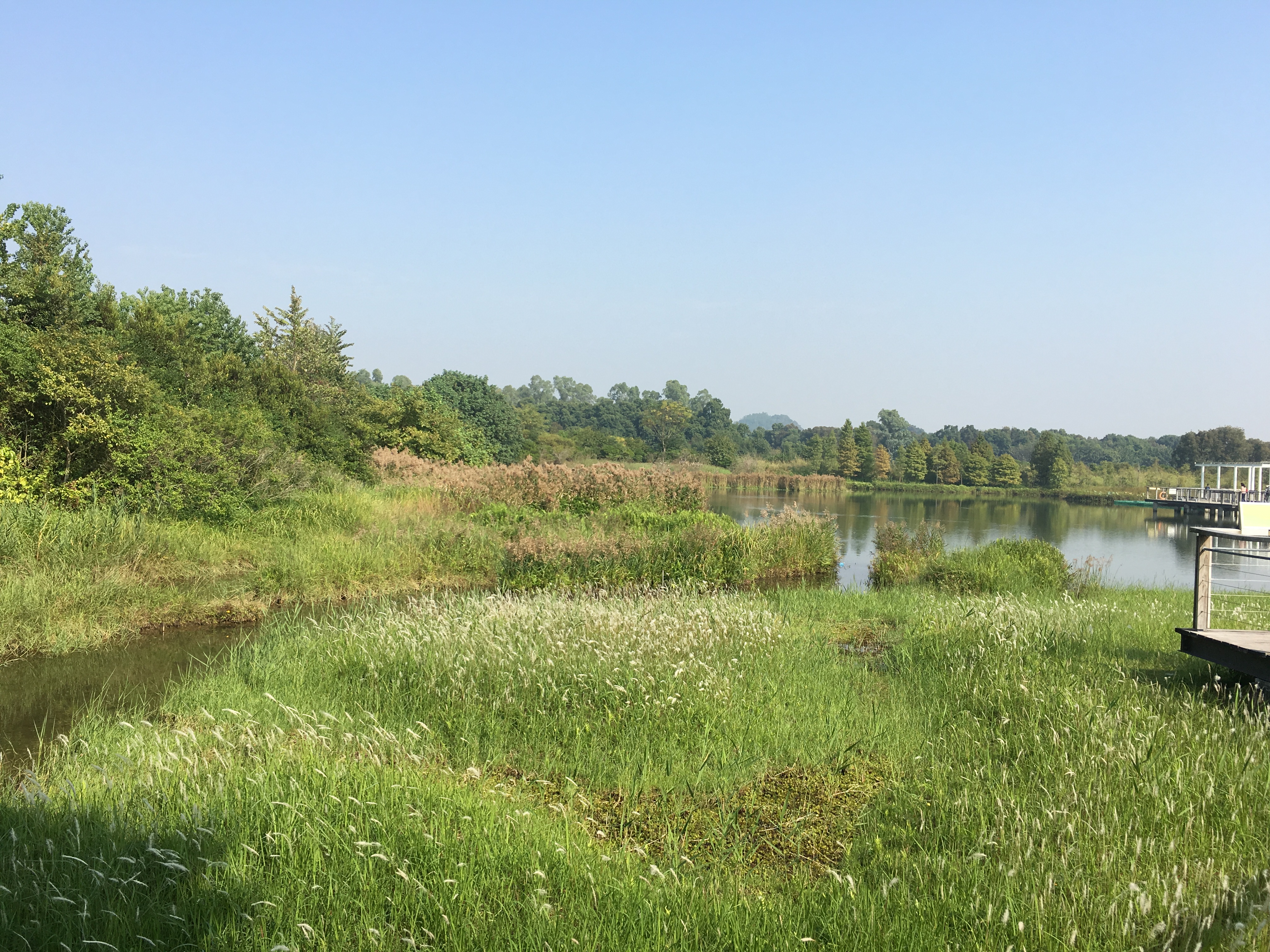 Hong Kong Wetland Park photo4