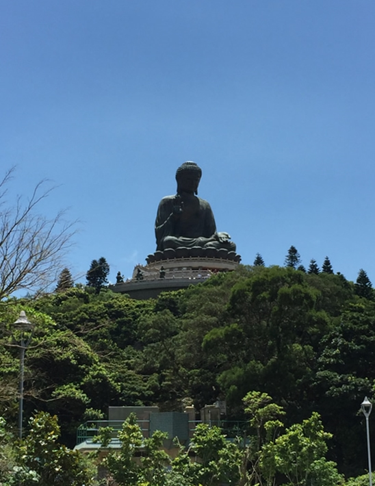 寶蓮禪寺及天壇大佛圖片5