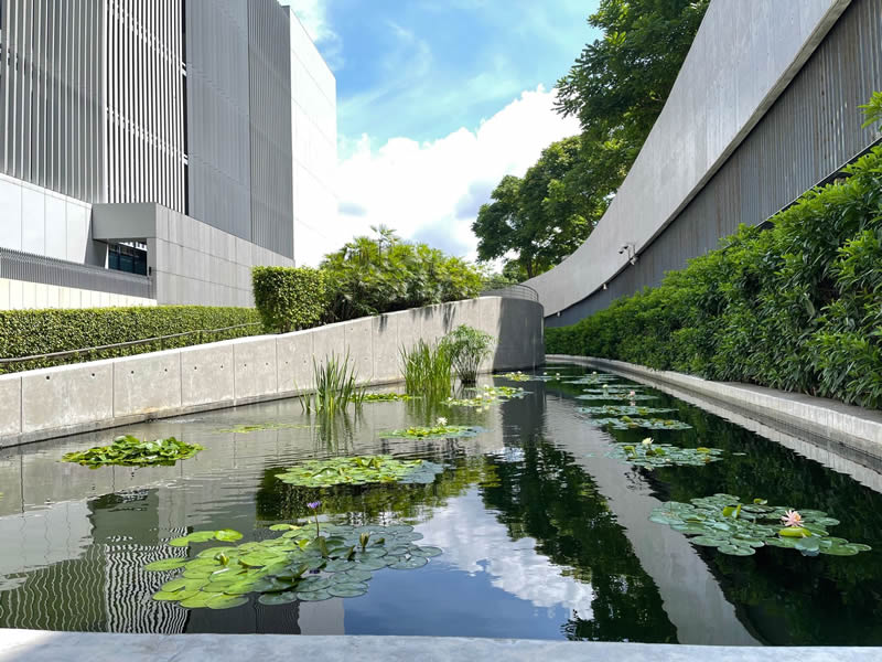 添馬公園圖片2