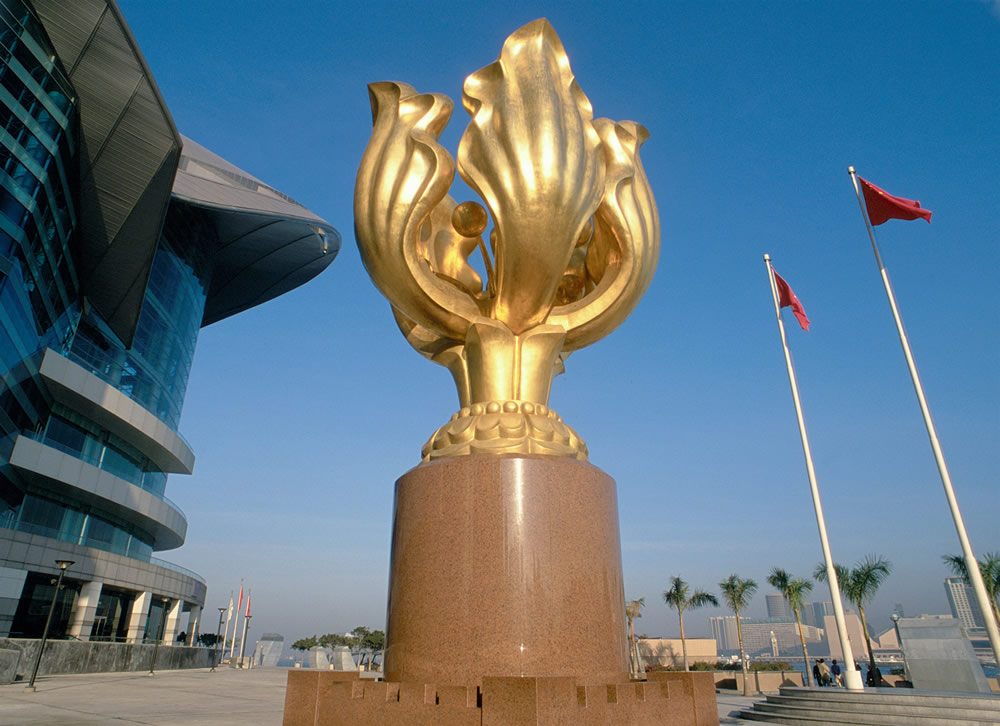 Golden Bauhinia Square photo2