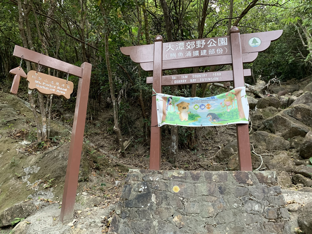 大潭郊野公園（鰂魚涌擴建部分）圖片1