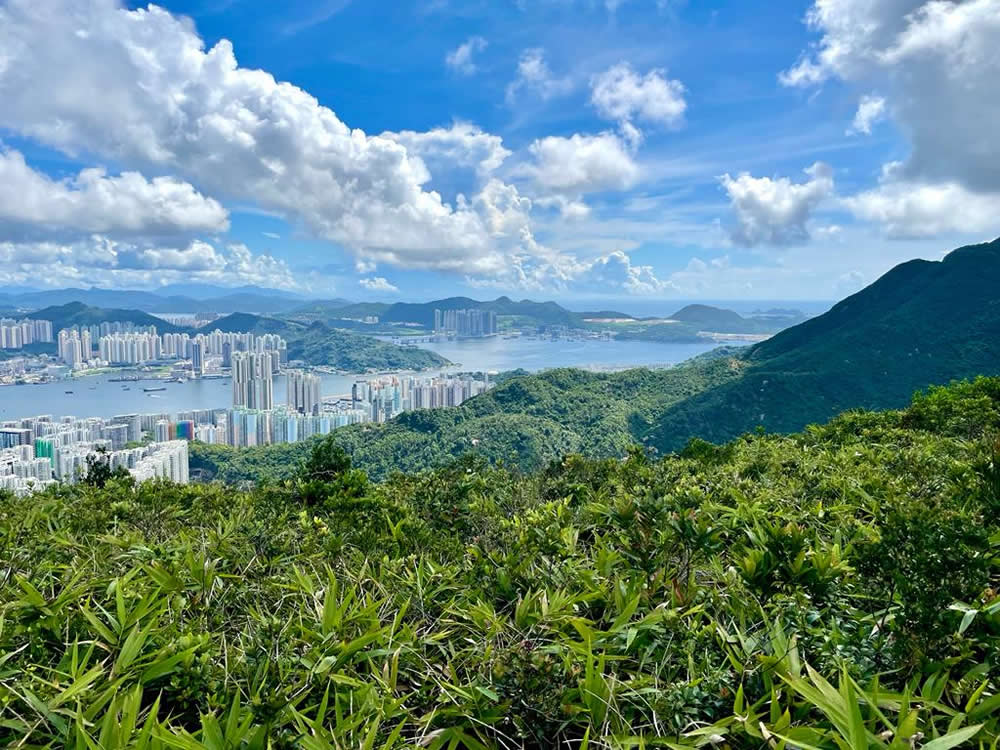 大潭郊野公園（鰂魚涌擴建部分）圖片3