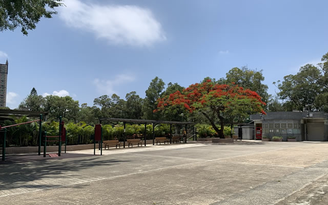 獅子山公園