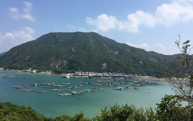 南丫島