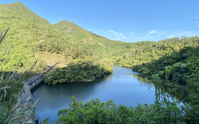 鶴藪水塘