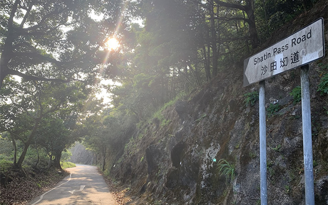 沙田坳道(远足路径)