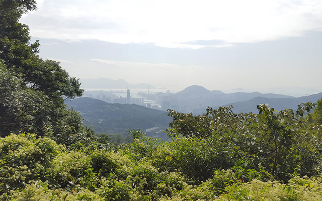 Tai Mo Shan Country Park