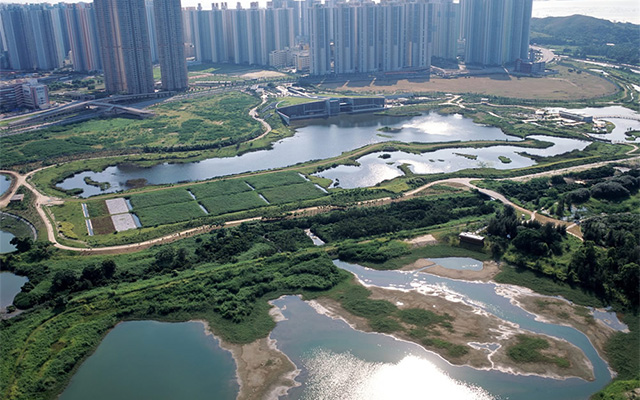 Hong Kong Wetland Park