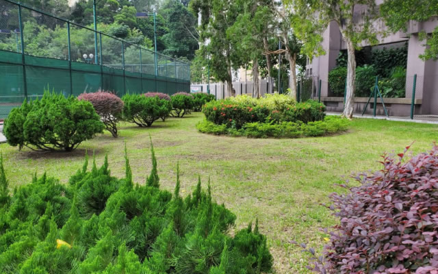 Morse Park & Wong Tai Sin Cultural Garden